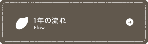 1年の流れ